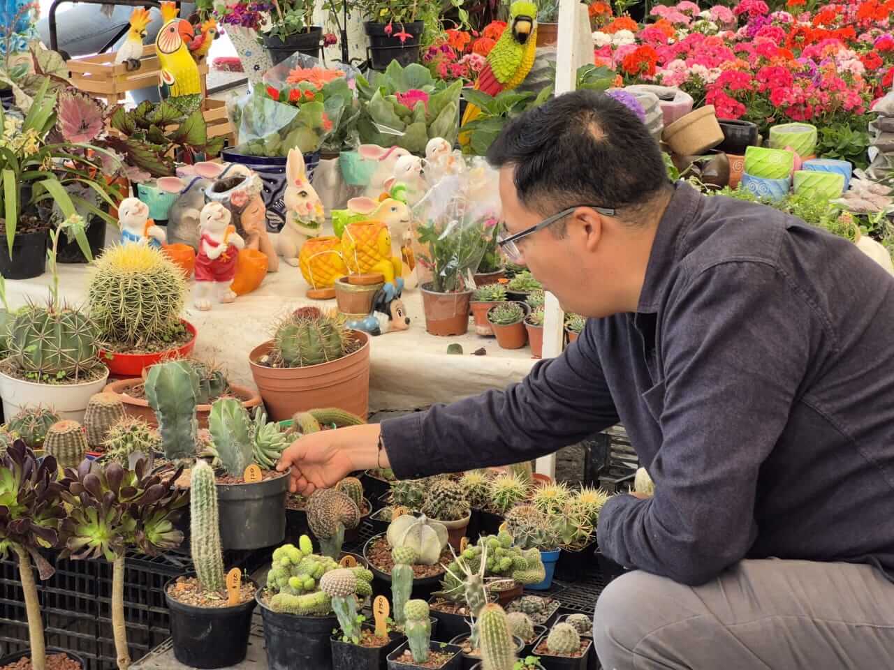 Feria de las flores en Soledad continúa con éxito en su sexto día de actividades