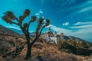 Habrá coordinación estatal para preservar la ruta huichol