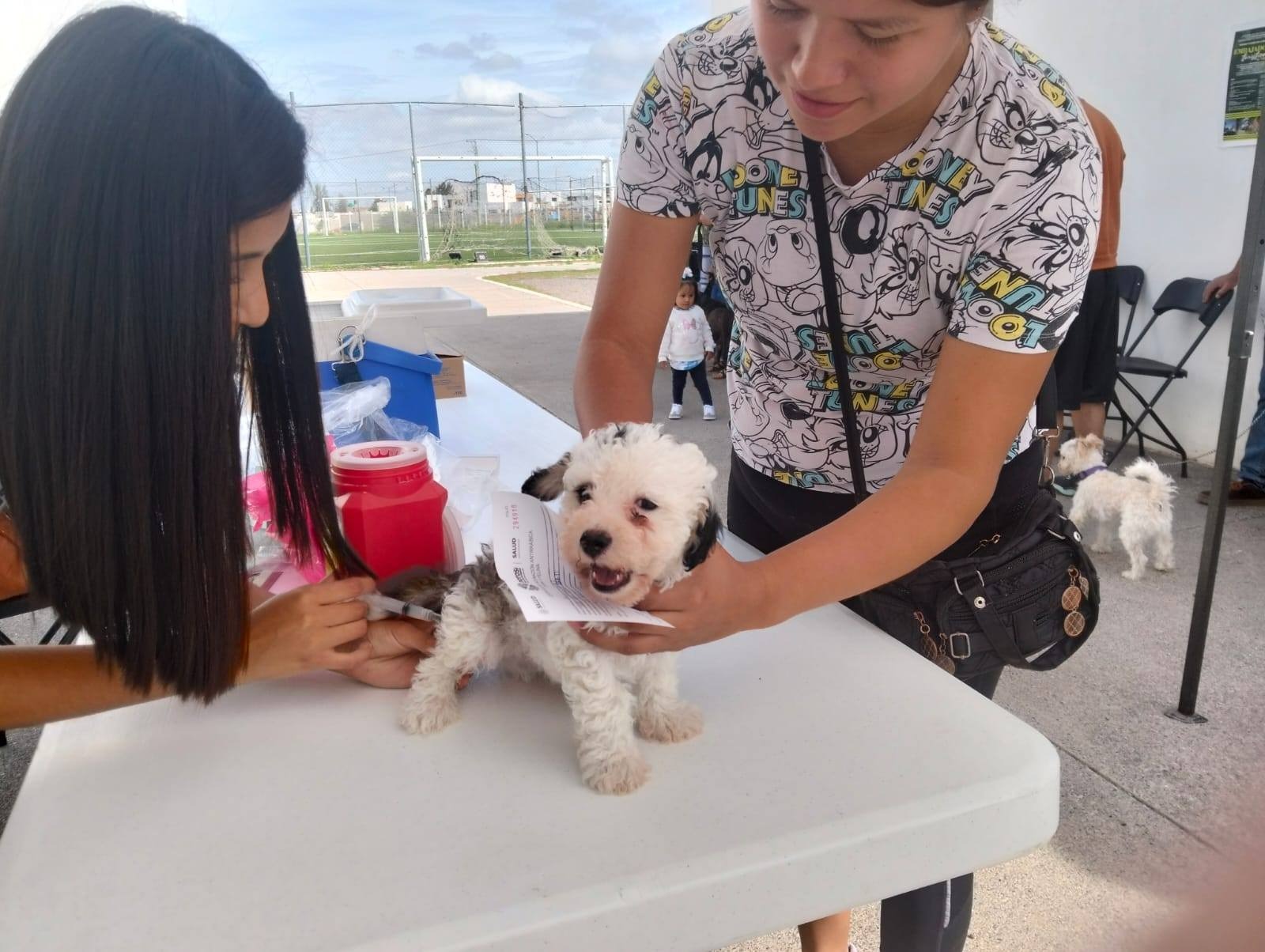 Más de 600 mascotas recibieron vacunación antirrábica en Villa de Pozos