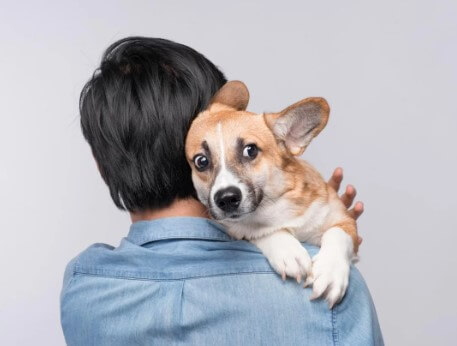 Cuidado: tu ansiedad puede ser contagiosa para tu perro