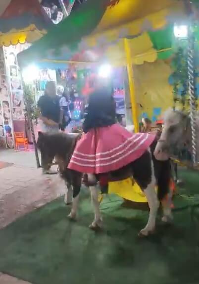 Denuncian maltrato animal en la Fenapo: piden retirar carrusel de ponis