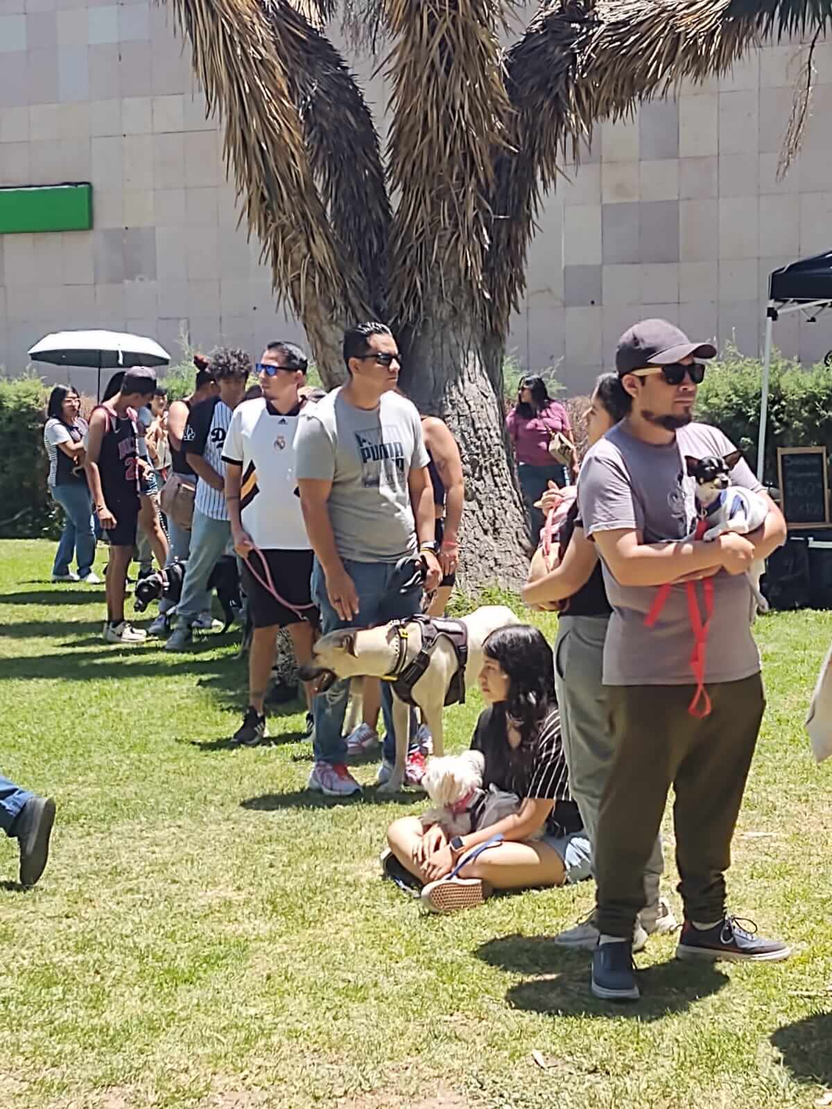 San Luis Potosí impulsa el cuidado de los animales con bienestar perruno