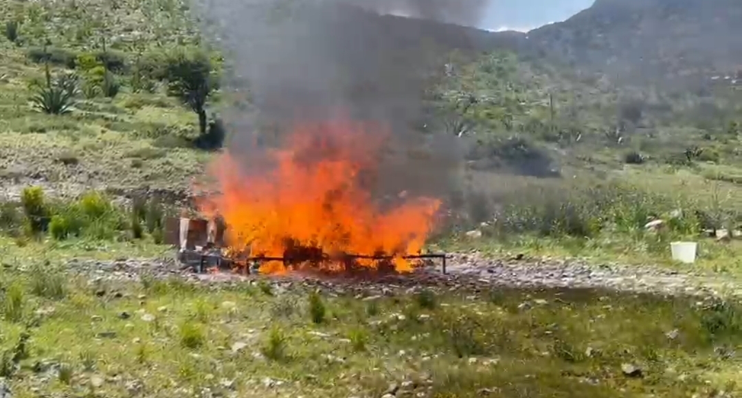 Incineran FGR y SEDENA más de 35 kilos de narcóticos decomisados en SLP