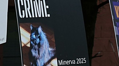 En Somerville, una gata es elegida “alcaldesa”