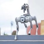 Zacatecas presenta perro robot con fusil para tareas de seguridad