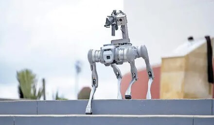 Zacatecas presenta perro robot con fusil para tareas de seguridad