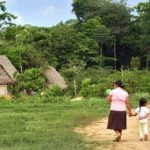 <strong></noscript>Alerta en el Amazonas boliviano: mujeres indígenas presentan altos niveles de mercurio</strong>