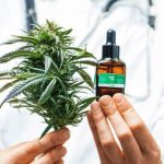 <strong></noscript>Colombia autoriza venta de flor de cannabis medicinal en farmacias</strong>