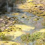 Detectan obra municipal que arrojó aguas negras al Río Paisanos durante siete años