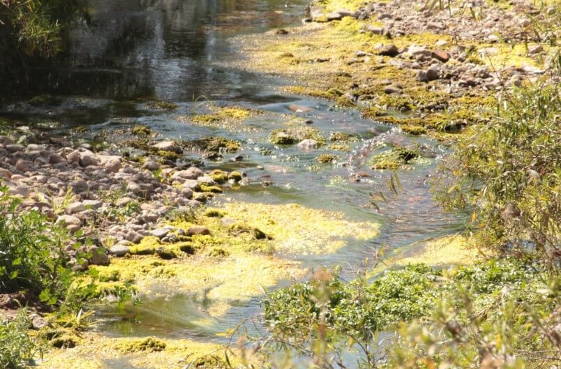 Detectan obra municipal que arrojó aguas negras al Río Paisanos durante siete años