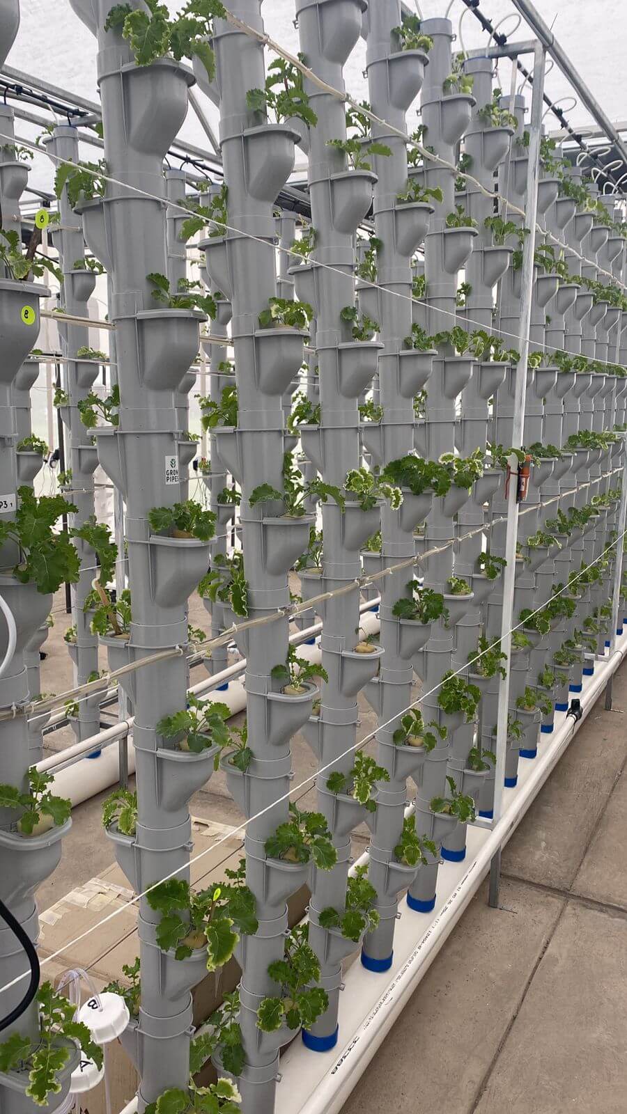 Facultad de Agronomía y Veterinaria de la UASLP desarrolla sistema de agricultura vertical con tecnología de vanguardia