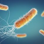 <strong></noscript>OMS alerta: la resistencia bacteriana supera el desarrollo de nuevos tratamientos</strong>