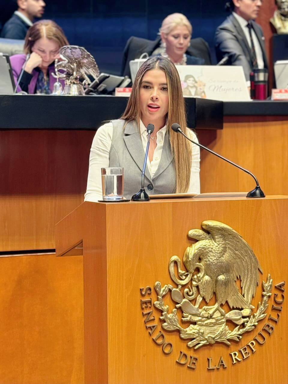 Ruth González Silva propone tipificar la suplantación de identidad como delito federal