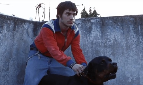 “Amores Perros vuelve a rugir: Iñárritu y Arriaga sellan la paz en el altar del cine mexicano”