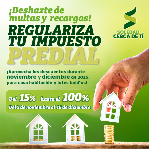 banner soledad noviembre 2025