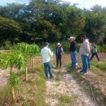 Avanza censo de daños por inundaciones en la Huasteca