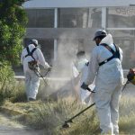 <strong></noscript></noscript>Gobierno de la Capital continúa con el rescate y mejoramiento de camellones y áreas verdes</strong>