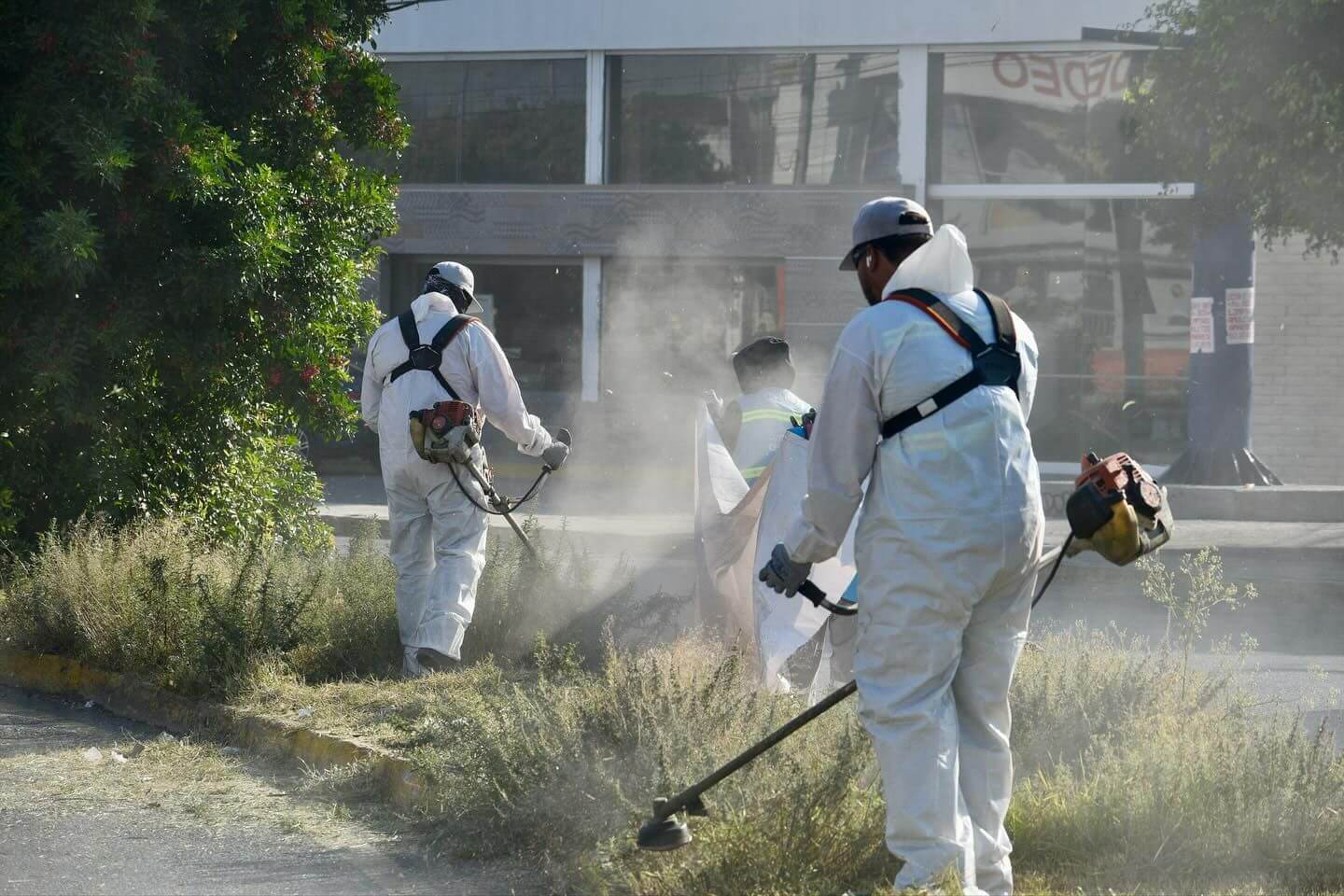 Gobierno de la Capital continúa con el rescate y mejoramiento de camellones y áreas verdes