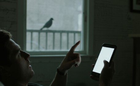 La “teoría del pájaro”: la prueba viral que busca medir la conexión emocional en pareja