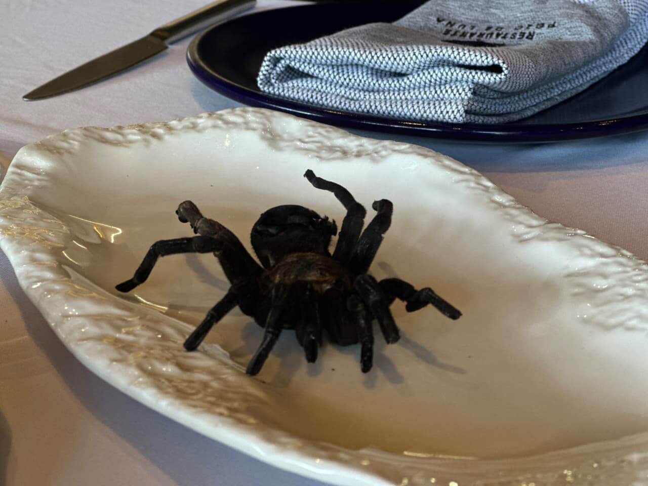 Tacos de tarántula y alacrán: experiencia gourmet y extraordinaria que se experimenta en Soledad