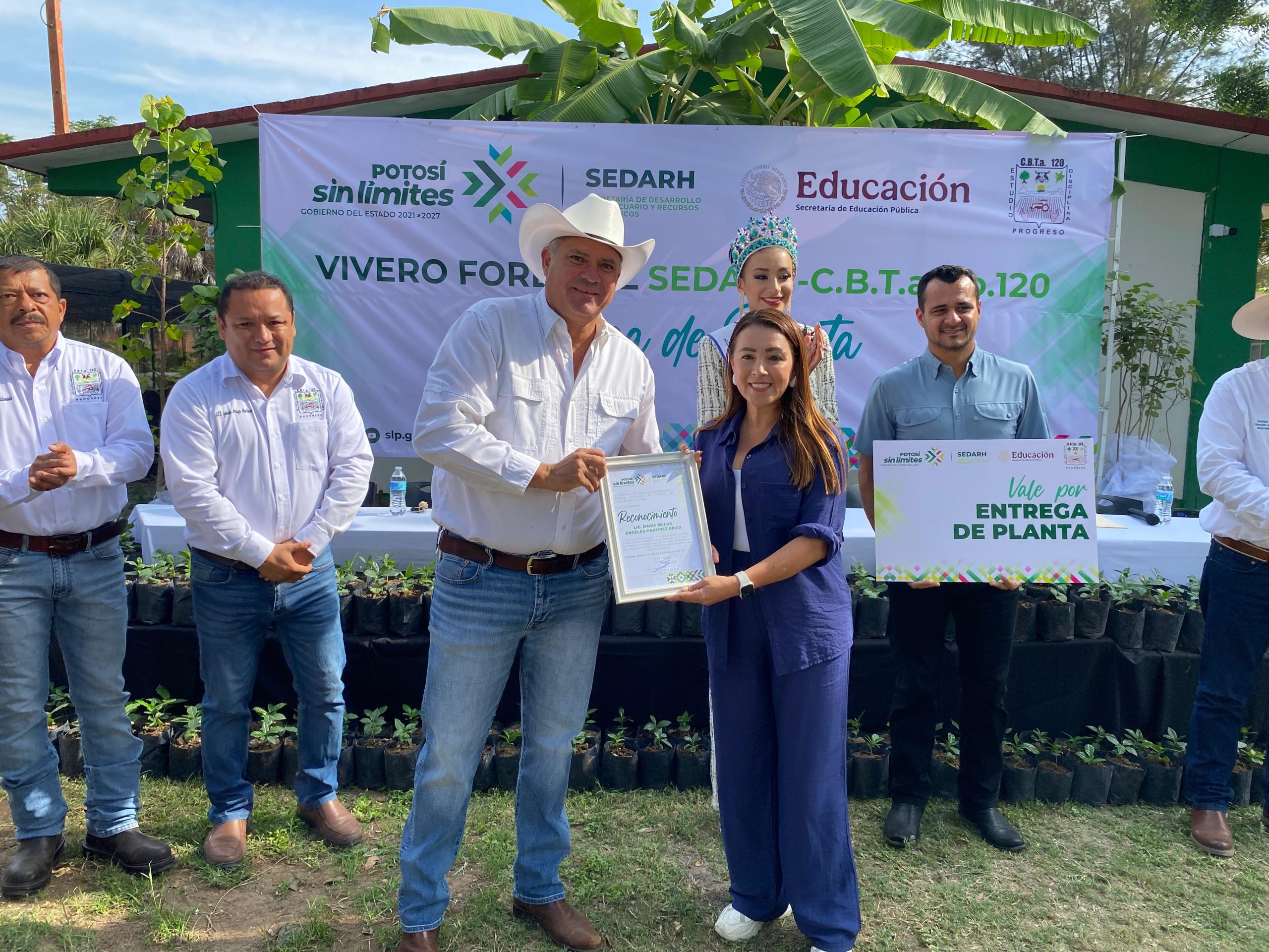 Avanza producción de café de alta calidad en la Huasteca