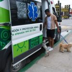 Ayuntamiento de Soledad llama a no regalar mascotas en fechas decembrinas y promover la adopción responsable