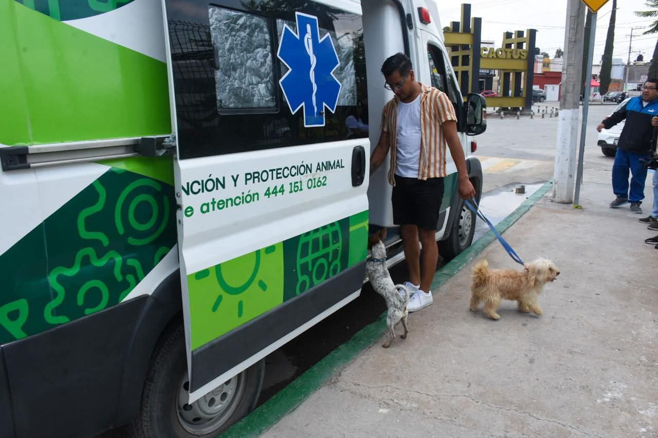Ayuntamiento de Soledad llama a no regalar mascotas en fechas decembrinas y promover la adopción responsable