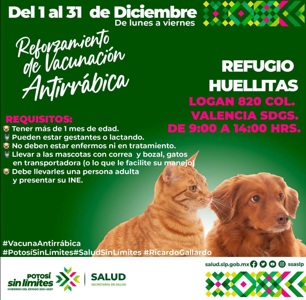 Gobierno estatal fortalece acciones de bienestar animal en diciembre