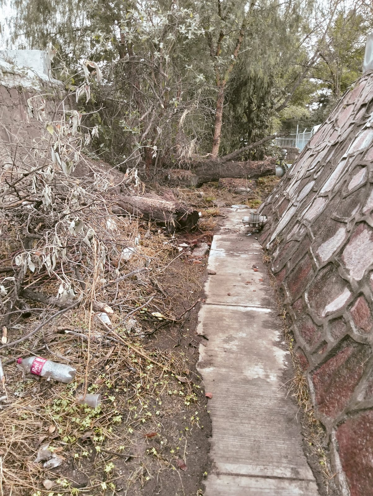 Interapas descarta fuga tras escurrimientos de agua en San Leonel