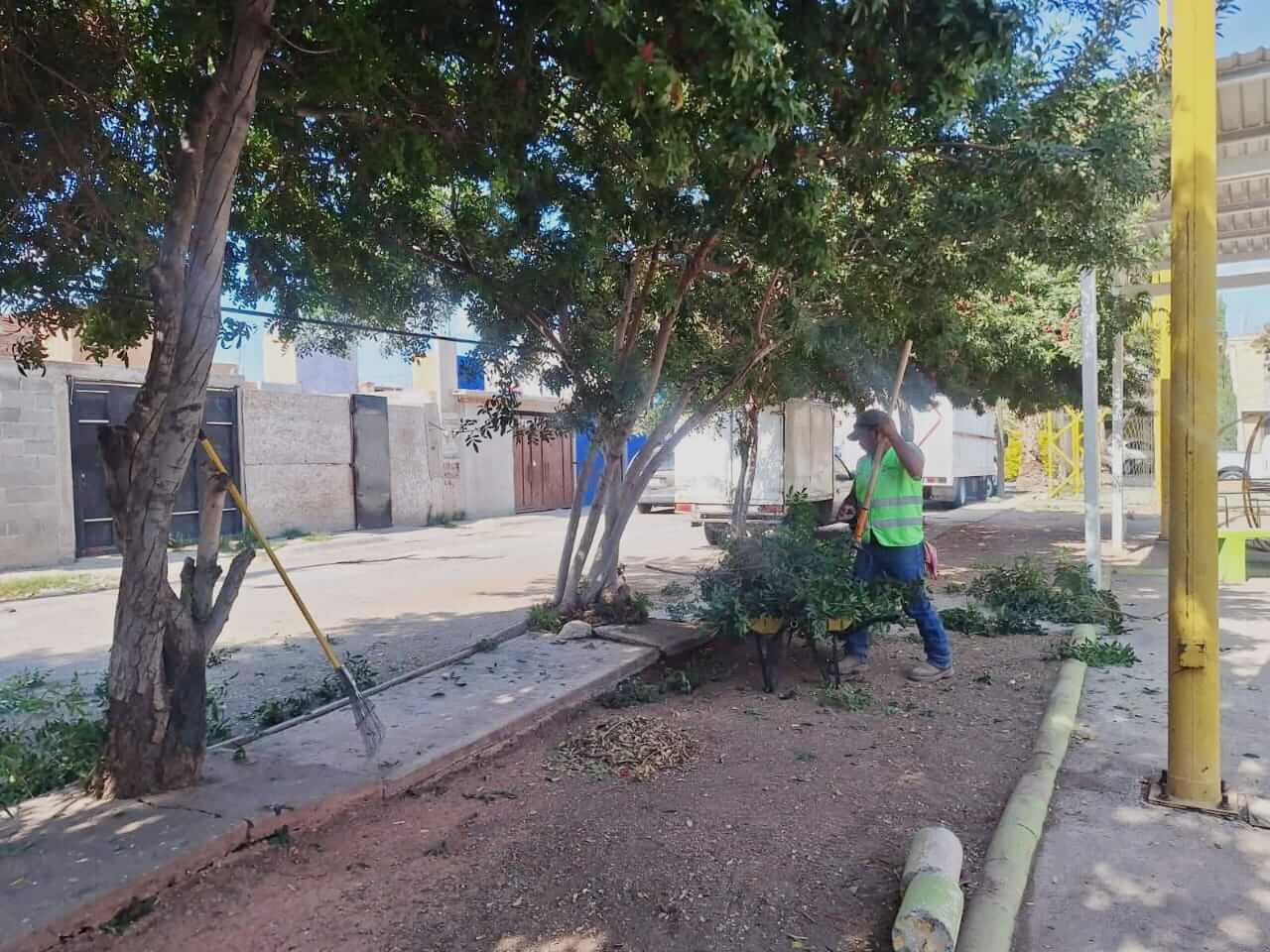 Limpieza de calles y recolección de residuos en soledad, sin afectaciones por temporada decembrina