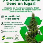 Ayuntamiento de Soledad habilita centro de acopio de árboles navideños naturales