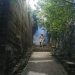 Baja contundente del dengue refuerza la salud pública en el estado