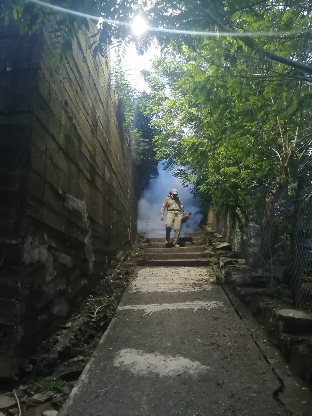 Baja contundente del dengue refuerza la salud pública en el estado