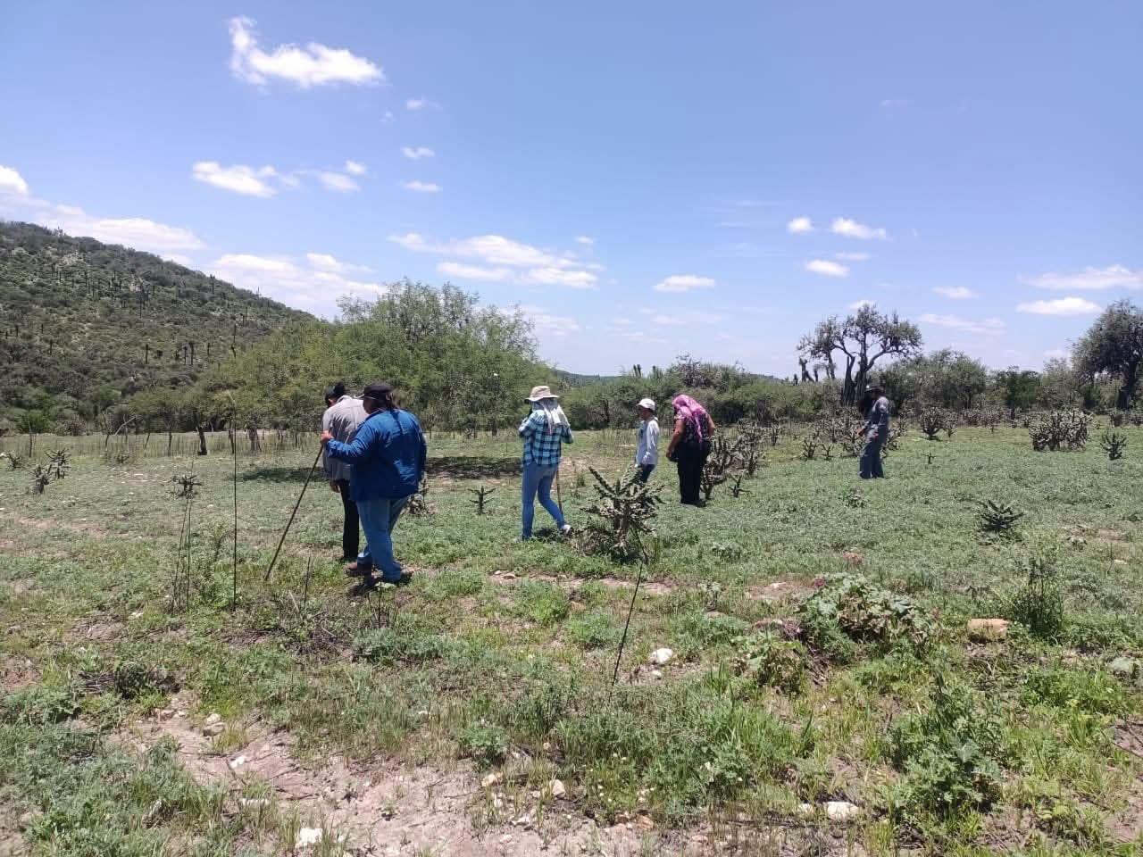 “No hay gasolina para buscar”: Voz y Dignidad acusa crisis profunda en la Comisión de Búsqueda en SLP