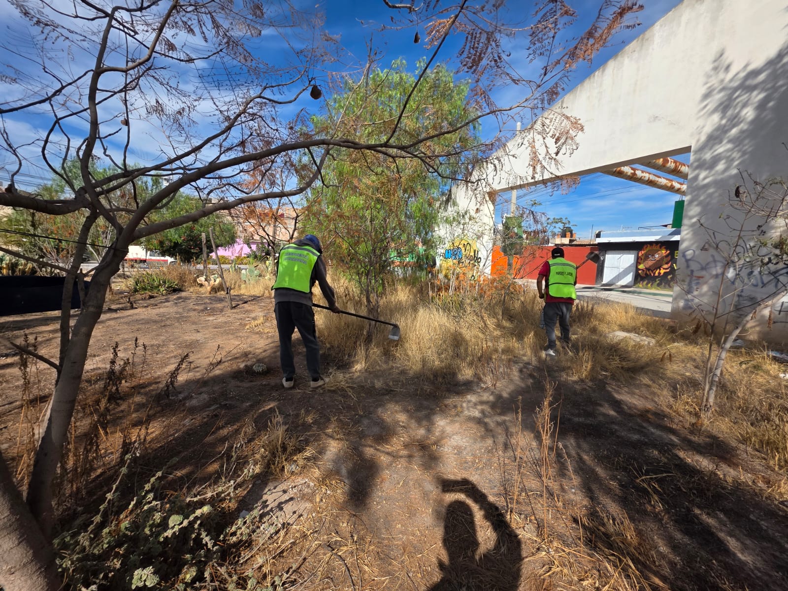 Villa de Pozos recupera área verde en Fracc. San Xavier