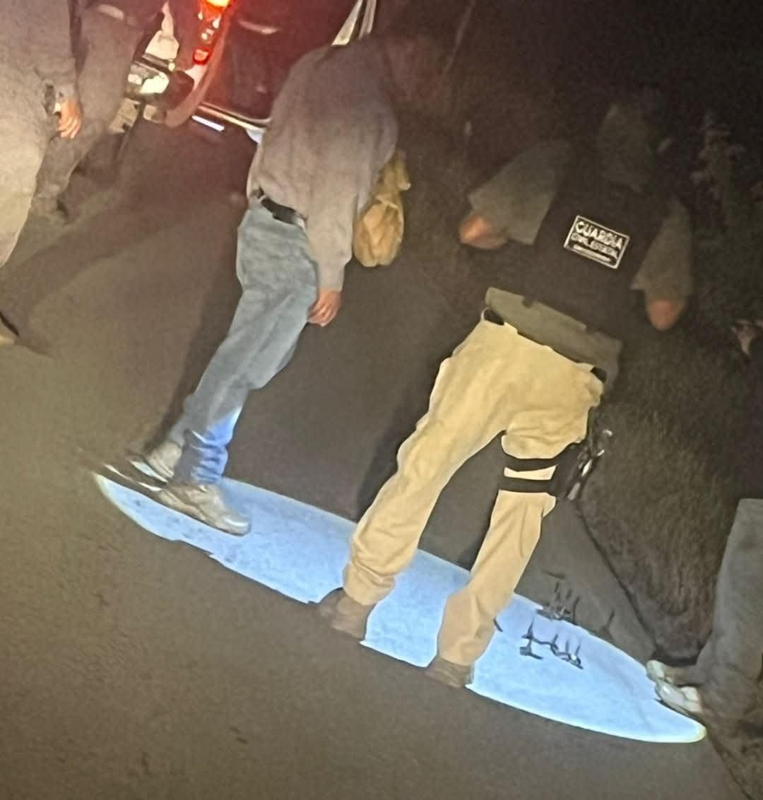 Localizan tres cuerpos calcinados en Michoacán; podrían corresponder a familia de intérprete desaparecida