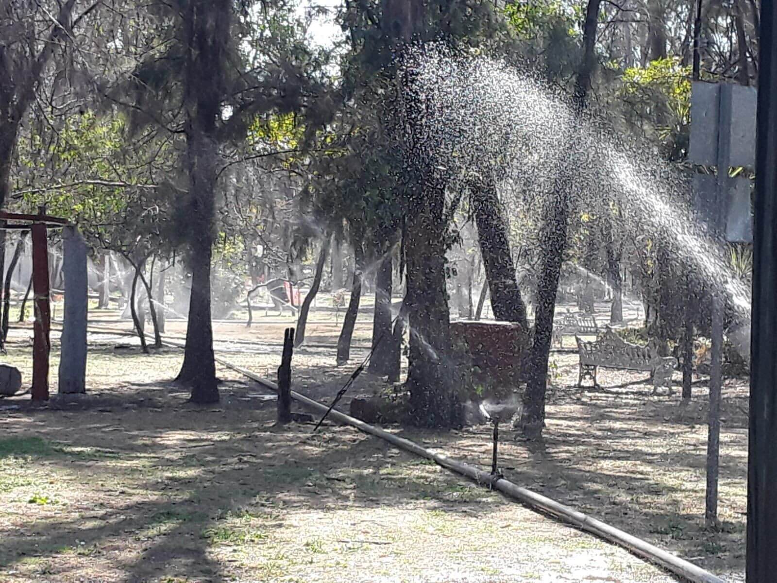 Gobierno de la Capital refuerza mantenimiento del Parque de Morales con riego permanente de agua no potable