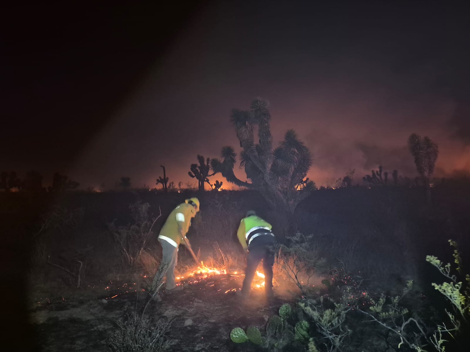Gobierno del estado refuerza operativo contra incendio en Santo Domingo