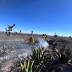 Incendio en Santo Domingo queda bajo control total