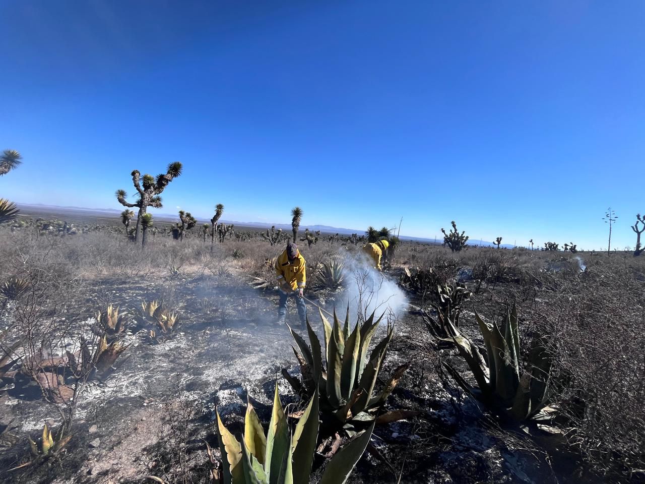 Incendio en Santo Domingo queda bajo control total