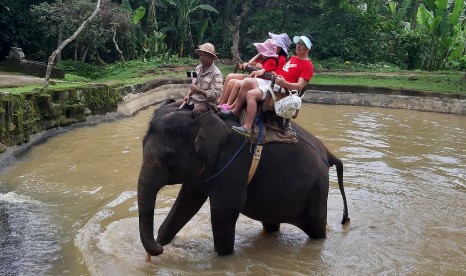 Indonesia prohíbe los paseos en elefante para transitar hacia un turismo ético