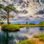 San Luis avanza en conservación del manantial Los Peroles