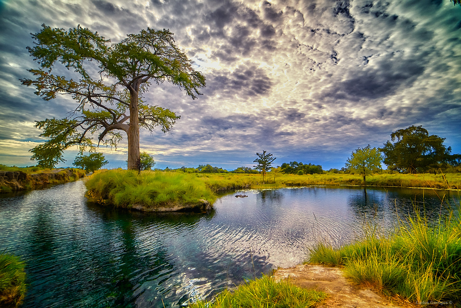 San Luis avanza en conservación del manantial los peroles