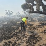 Operativo estatal contiene incendio forestal en Santo Domingo