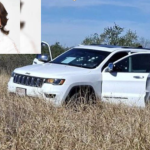 Violencia en Sonora: Disputa de tránsito termina en el asesinato del hijo de la alcaldesa de Bacanora