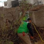 Atiende ayuntamiento de Soledad contingencia por lluvias&nbsp;