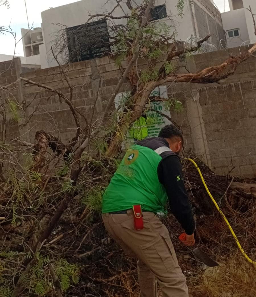 Atiende ayuntamiento de Soledad contingencia por lluvias 