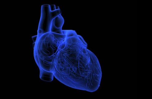 Bioimpresión 3D: Científicos crean un "corazón en un chip" para medicina de precisión