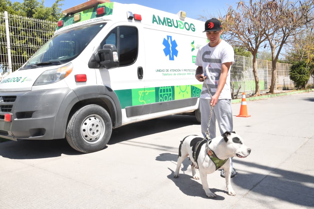 Con vacunación antirrábica, Soledad sostiene estrategia de salud preventiva animal
