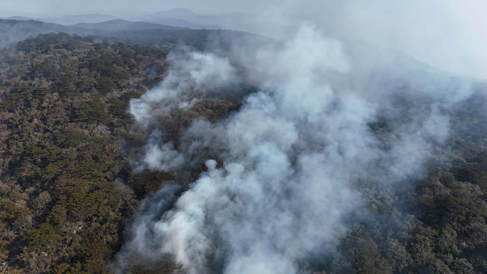 Estado avanza en control de incendio en Ciudad del Maíz